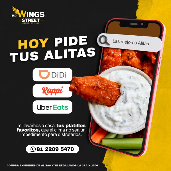Mr Wings Street